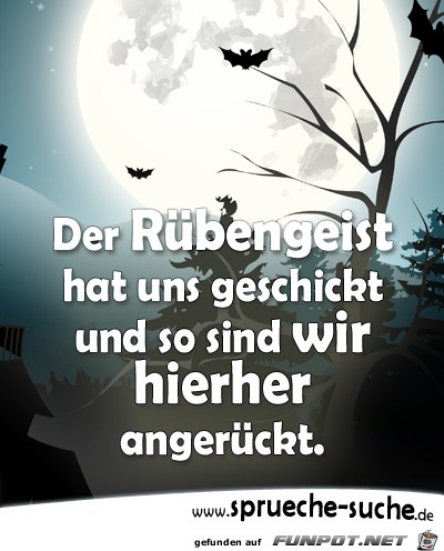 der-ruebengeist-hat-uns-geschickt der-ruebengeist-hat-uns-geschickt