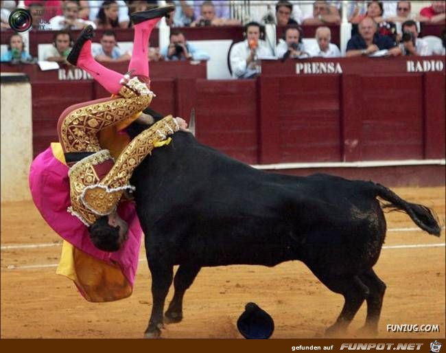 Bulls Brutal Revenge Funzug org 12 Bulls Brutal Revenge Funzug org 12