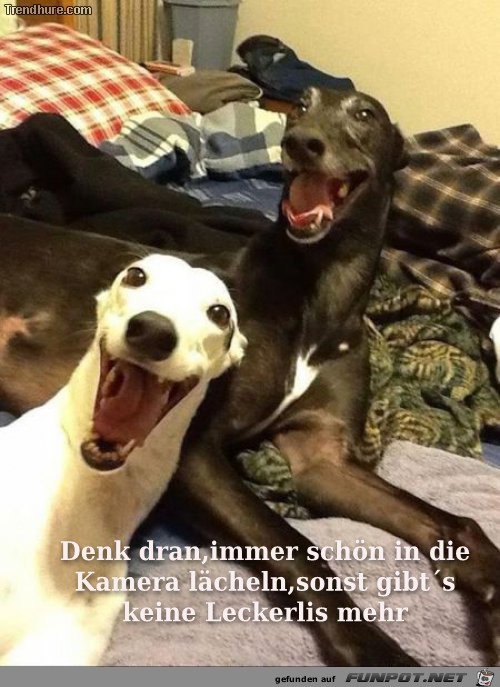 Foto Foto