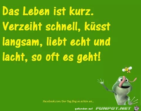 Kurz Kurz
