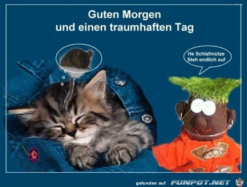 Einen traumhaften tag