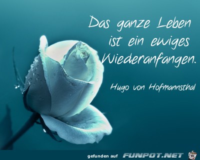 das ganze leben das ganze leben