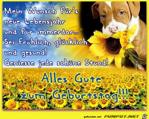 Geniesse jede Stund Geniesse jede Stund