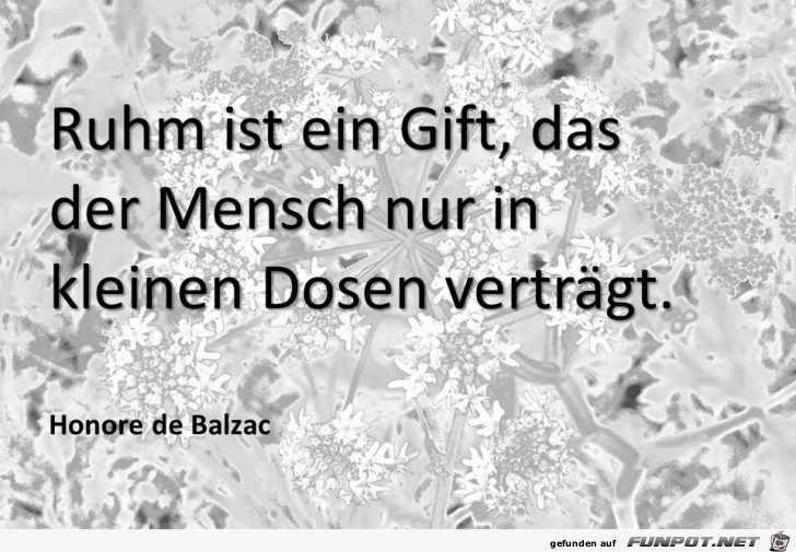 ruhm ist ein gift