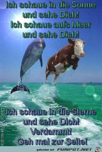 2Nsf6hpK7LSFh-fa0tv2FSU2fbUnKfZT01F4 2Nsf6hpK7LSFh-fa0tv2FSU2fbUnKfZT01F4