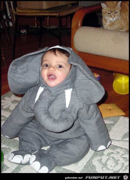 Elephantenbaby