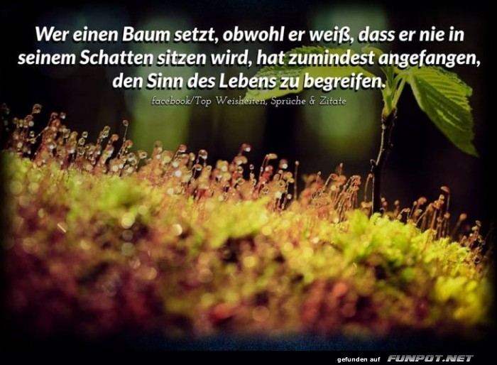 10 schne Sprche und Lebensweisheiten aus...