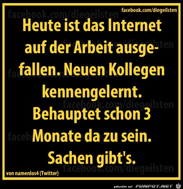 diegeilsten Kollege diegeilsten Kollege