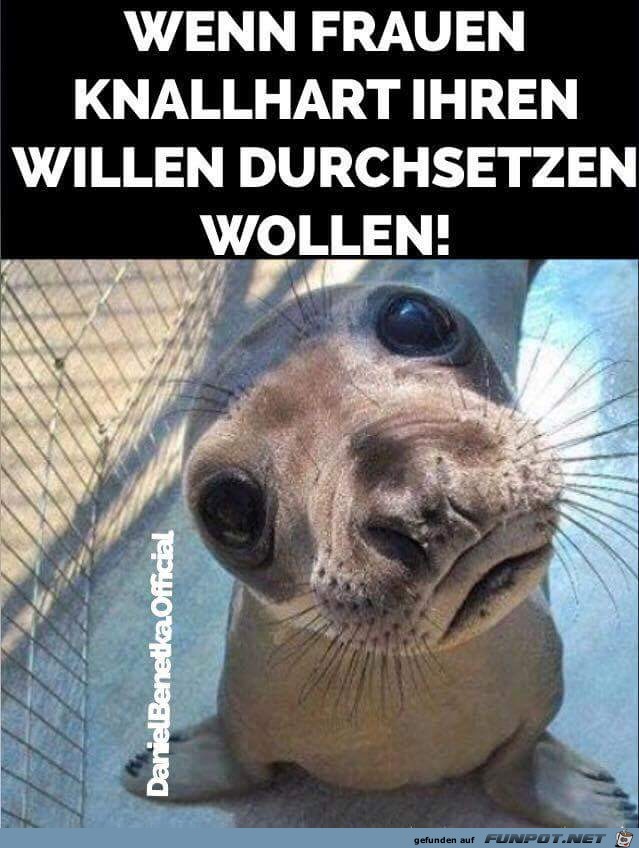 knallhart knallhart