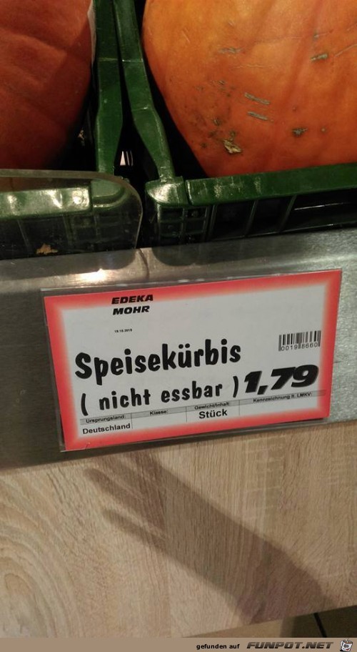 kuerbis kuerbis