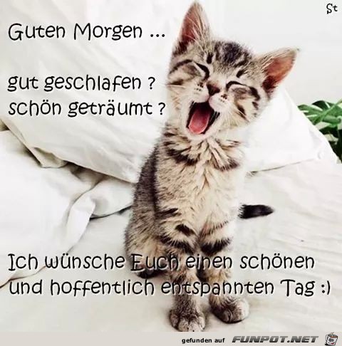 Guten Morgen 9 Guten Morgen 9