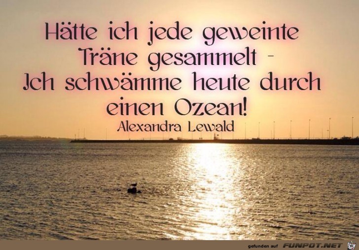 Haette ich jede geweinte Haette ich jede geweinte