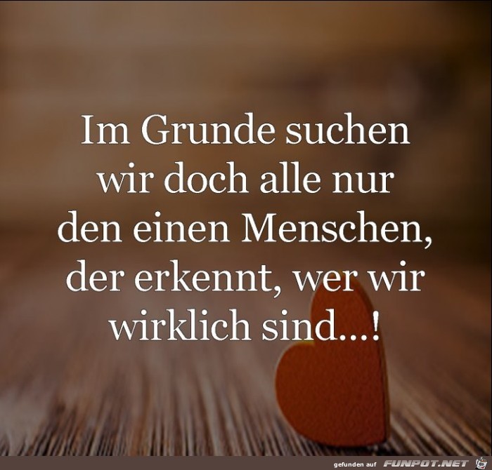 im Grunde suchen wir doch nur