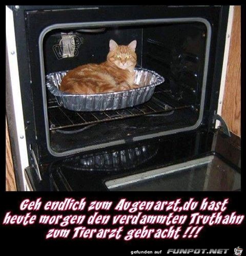 Geh endlich zum Augenarzt Geh endlich zum Augenarzt