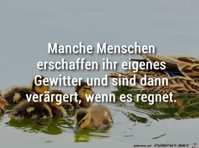 10 schne Sprche und Lebensweisheiten aus...