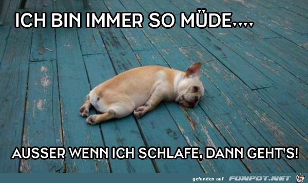 Ich bin immer so muede Ich bin immer so muede