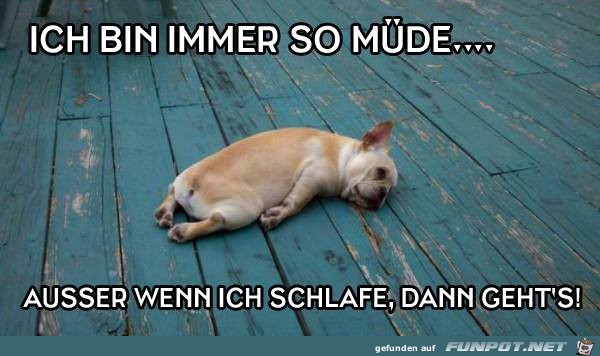 Ich bin immer so muede