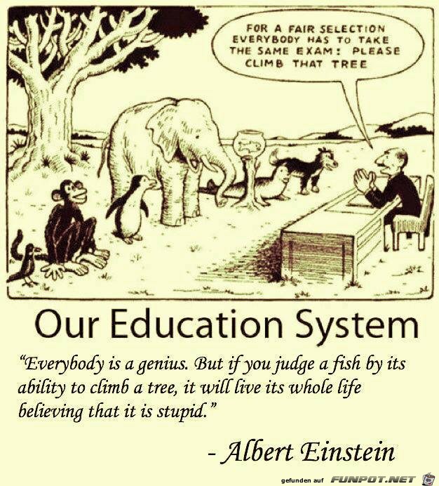 8 - education 8 - education