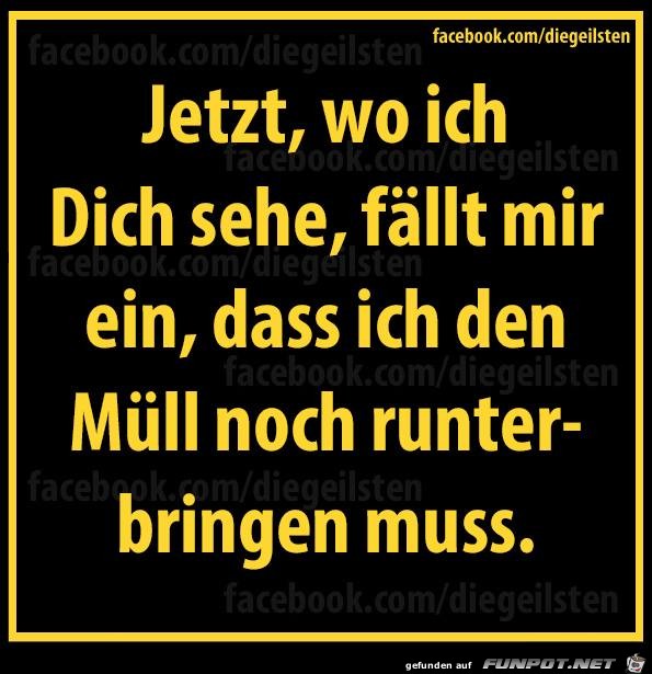 diegeilsten Muell diegeilsten Muell