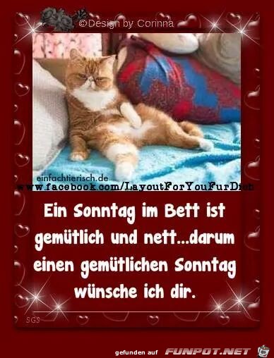 sonntag im bett