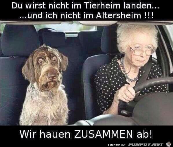 zusammen zusammen