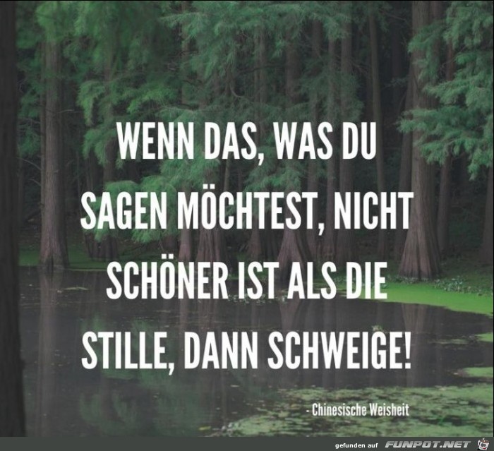 schoener schoener