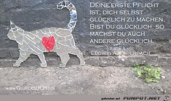 erste Pflicht erste Pflicht