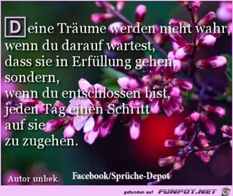 deine Traeume