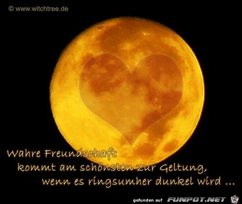 Wahre Freundschaft kommt am schoensten zur Geltung Wahre Freundschaft kommt am schoensten zur Geltung