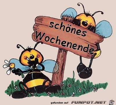 WE WE
