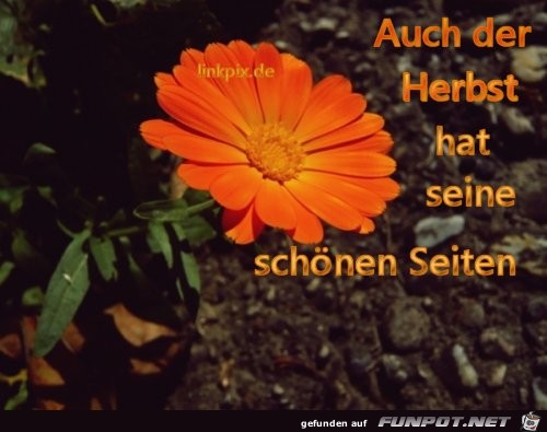 auch der Herbst