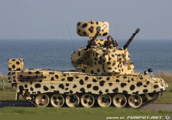 Gepard