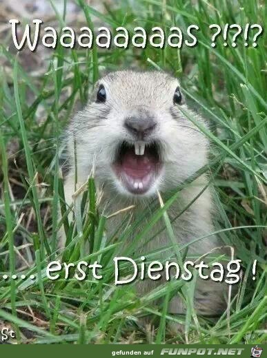 dienstag4