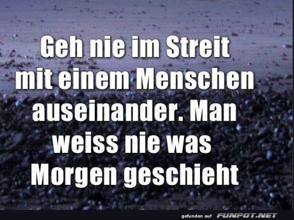 10 sch�ne Spr�che und Lebensweisheiten aus...