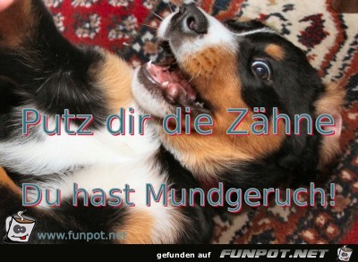 schreck schreck