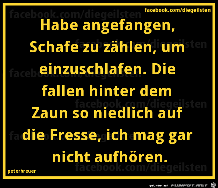 diegeilsten Schafe zaehlen diegeilsten Schafe zaehlen