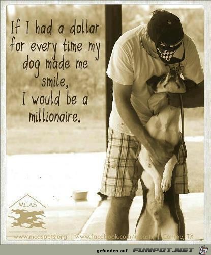 Dogs 7 Dogs 7