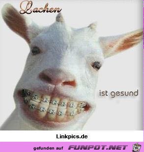 Lachen Lachen