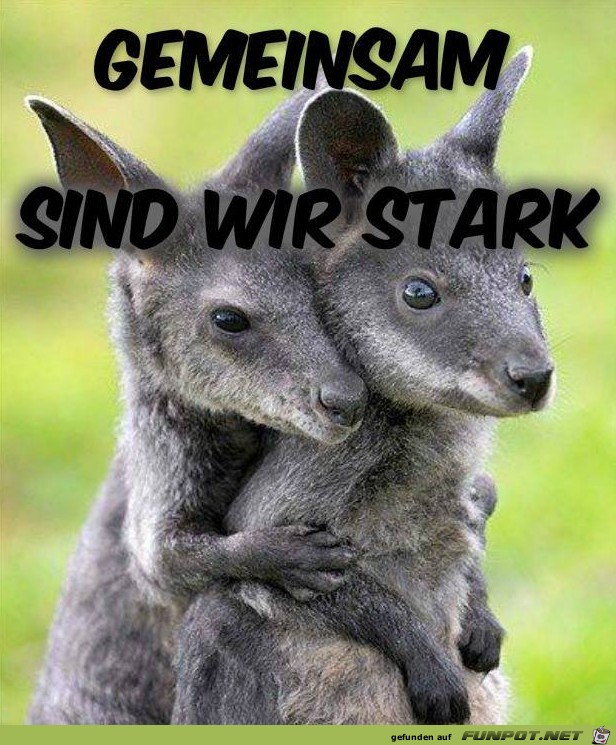 stark