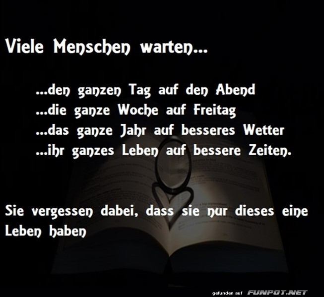 10 sch�ne Spr�che und Lebensweisheiten aus...