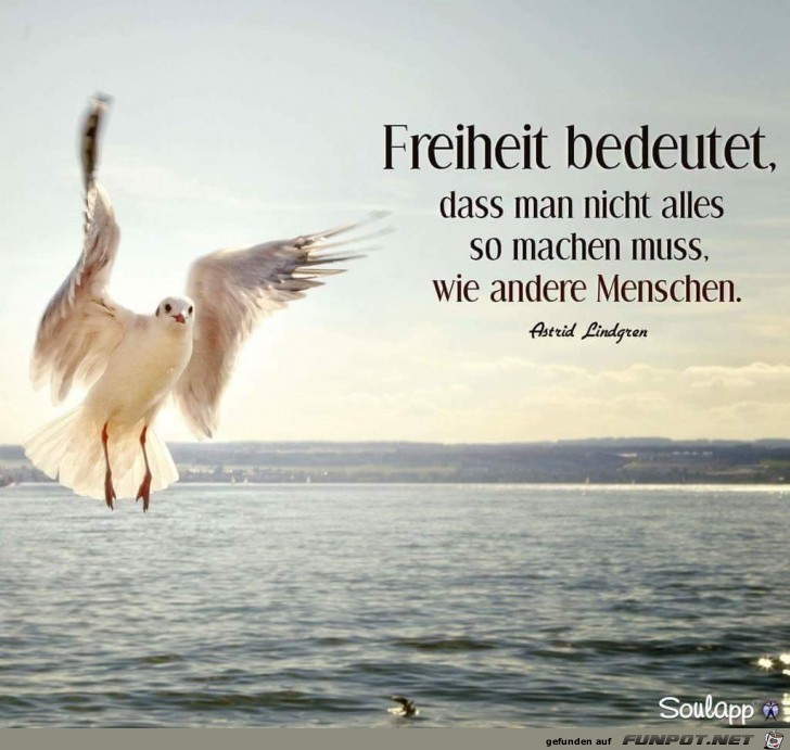 Freiheit Freiheit