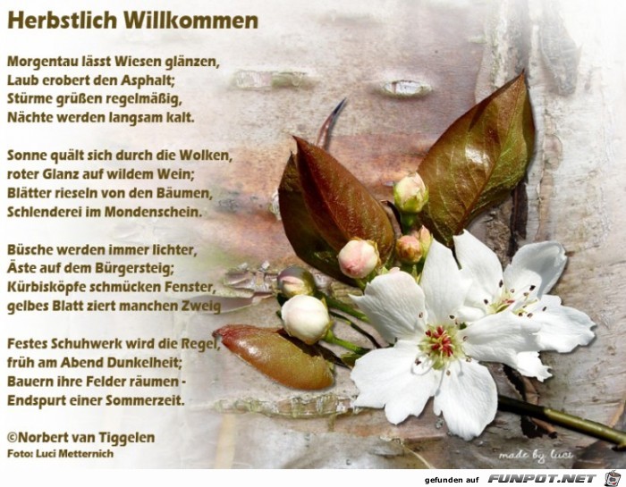 Herbstlich Willkommen