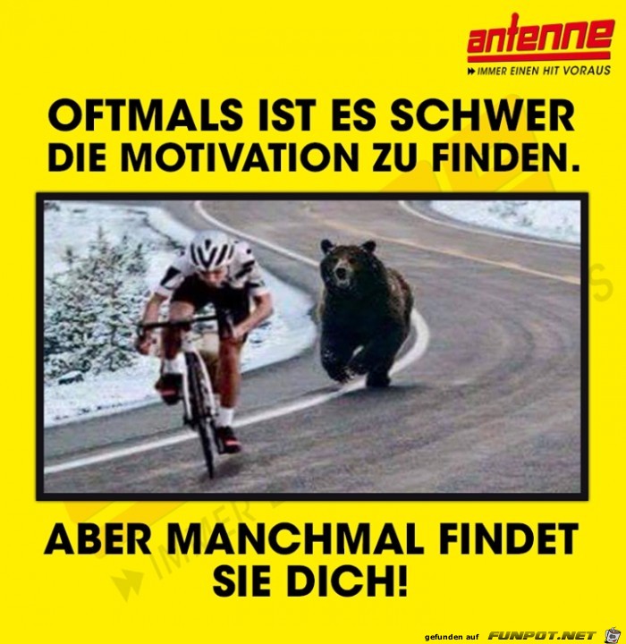 Motivation Motivation