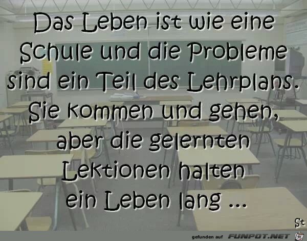 IMG 93453304822666 IMG 93453304822666