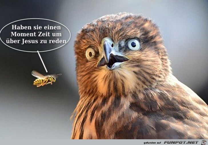 haben sie einen Moment Zeit haben sie einen Moment Zeit