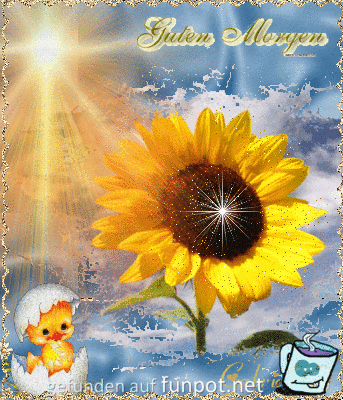 Guten Morgen- Guten Morgen-