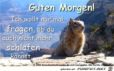 Witzige Bilder