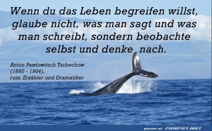10 sch�ne Spr�che und Lebensweisheiten aus...