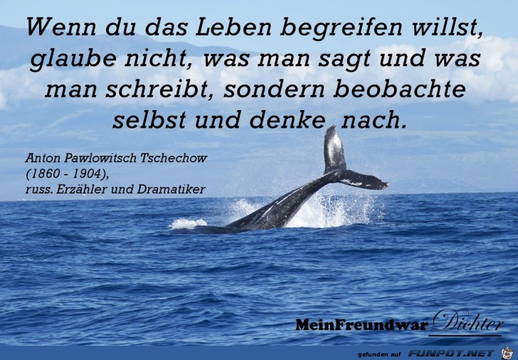 begreifen begreifen