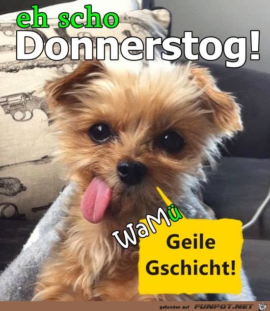 eh scho donnerstog eh scho donnerstog